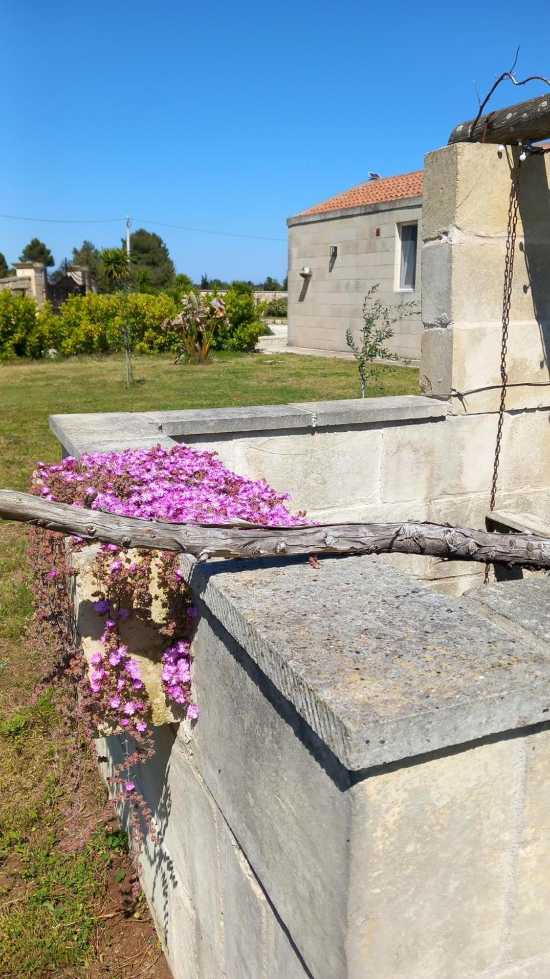 Masseria Petra * Martano